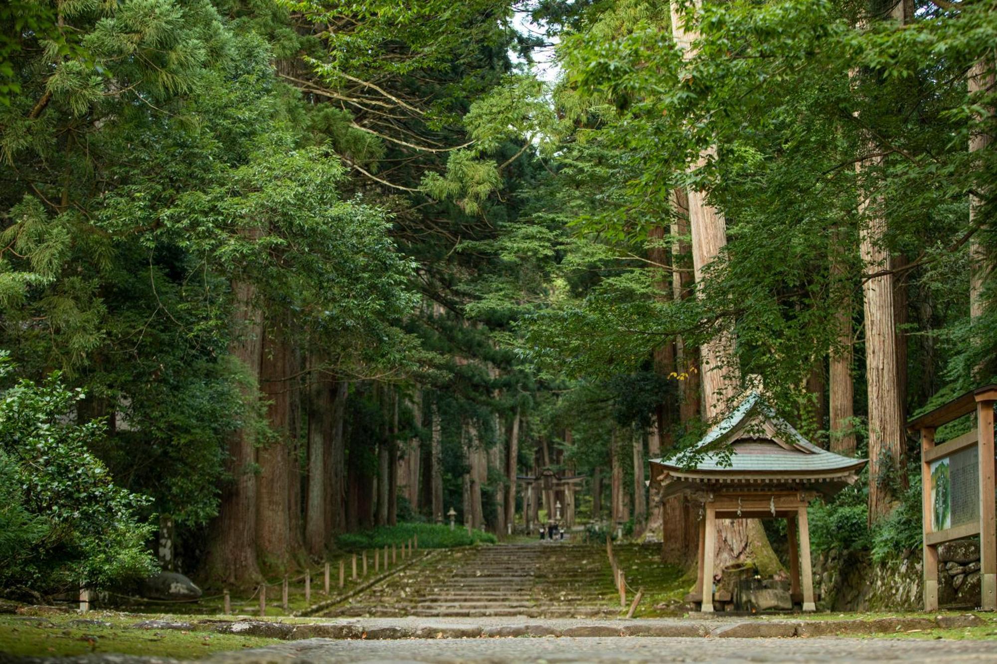 Katsuyama New Hotel Bagian luar foto